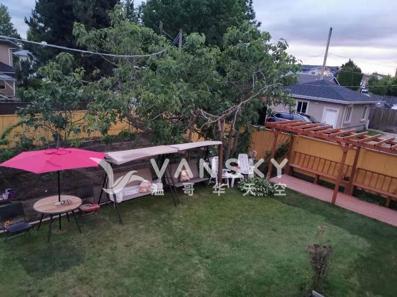 250227200949_6690 一楼院子.jpg